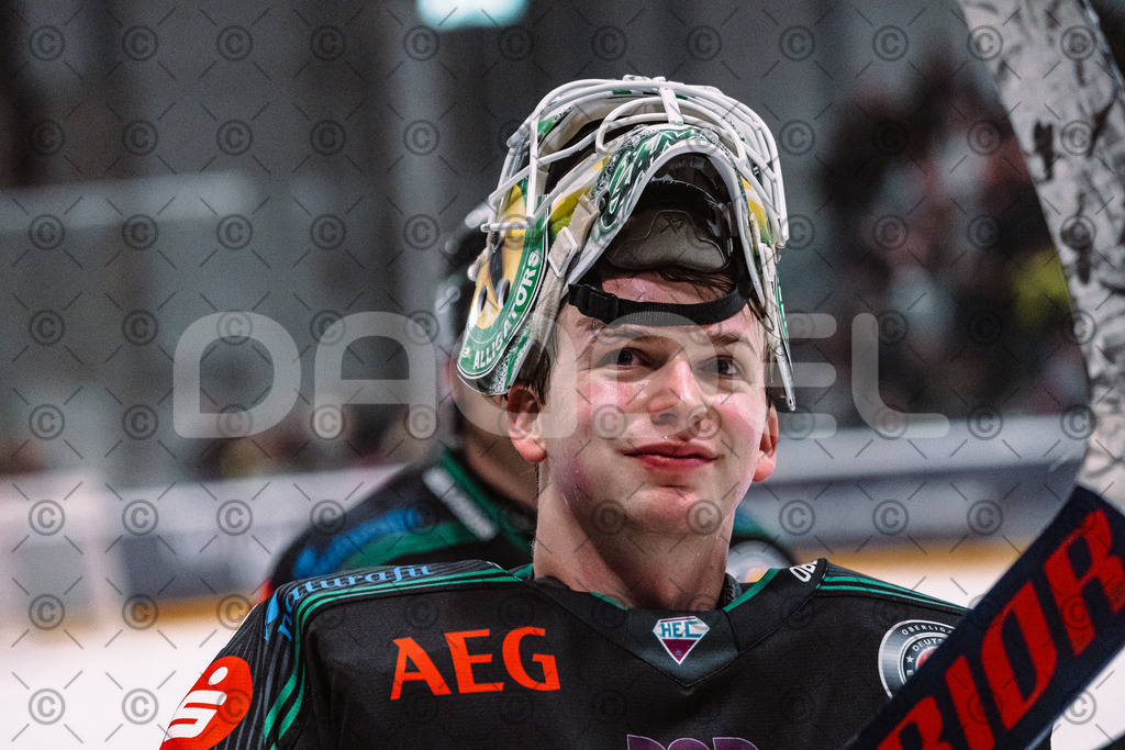 Alligators_vs_Selb_27_02_2026-51 | Höchstadt Alligators Fotogalerie: Eishockey-Action aus Franken. Professionelle Spielfotos, Portraits & Stadionbilder zum Download. Jetzt entdecken! - Realisiert mit Pictrs.com