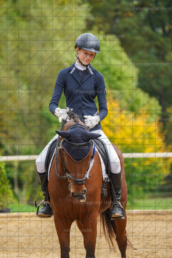 20221007-FAH09910 | Diessen am Ammersee, 2022, Dressur- und Springturnier, Reitsportbilder, Turnierfotografen Bayern, Pferdefotografen, Fotoagentur Herrmann, Turnierbilder
