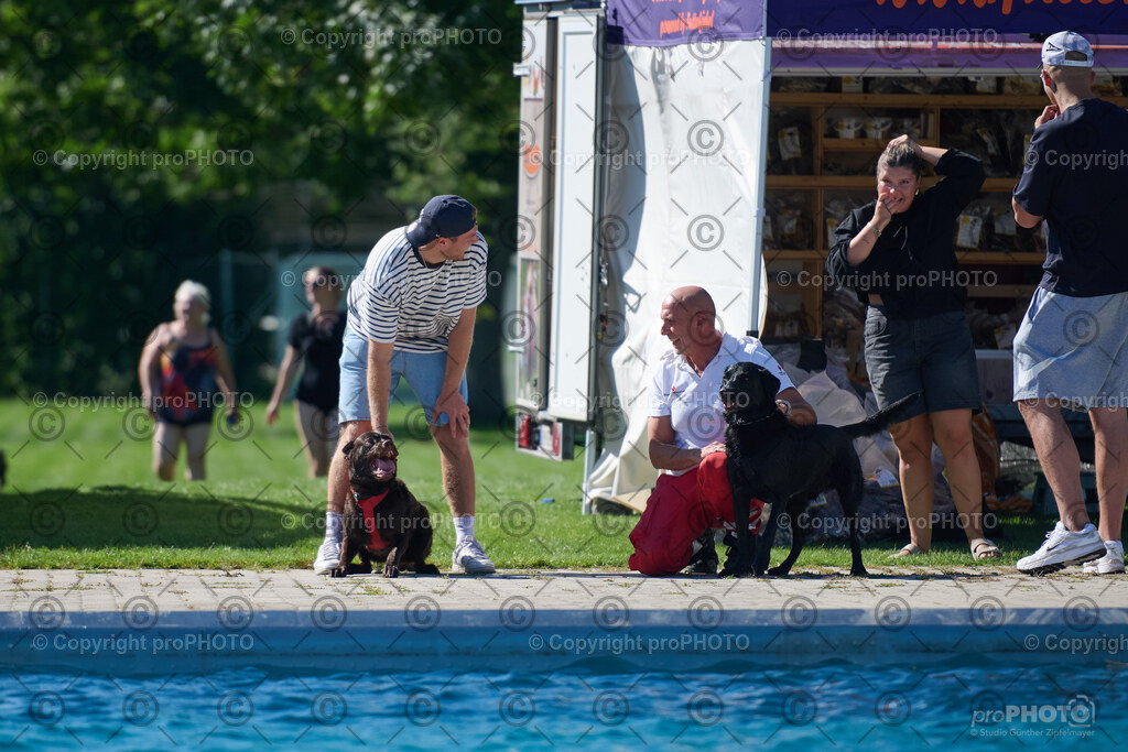 123_202509_4Hundebadetag_NZ9_2517 | proPHOTO - Realisiert mit Pictrs.com