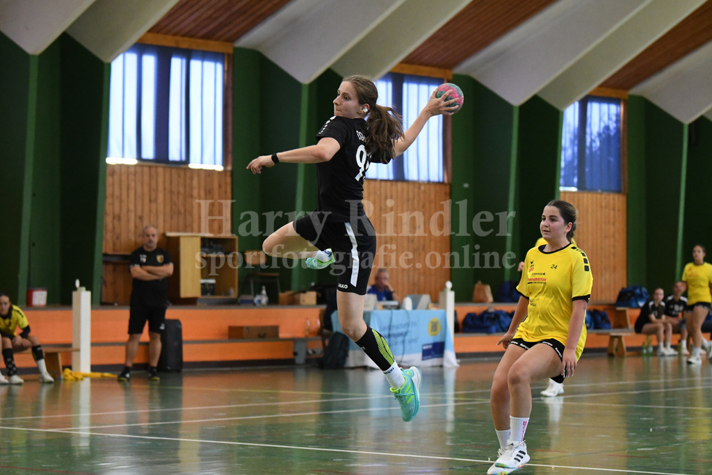 SSG Metten Handball Nachwuchs | SSG Metten weibliche A-Jugend im Spiel gegen die  SG Lions Handball aus Tirol - Realisiert mit Pictrs.com
