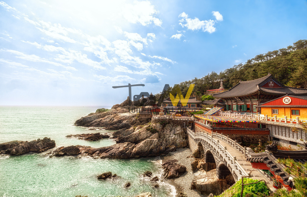 Der Haedong Yonggungsa Tempel in Busan------------Südkorea | Das Bild zeigt den Haedong Yonggungsa Tempel, einen berühmten buddhistischen Tempel an der Küste von Busan, Südkorea. Der Tempel wurde ursprünglich 1376 während der Goryeo-Dynastie erbaut. Im Gegensatz zu den meisten koreanischen Tempeln, die in den Bergen liegen, befindet sich dieser einzigartig an der felsigen Küste und bietet Meerblick. Die Anlage umfasst reich verzierte Gebäude, steinerne Buddha-Statuen, eine 10 Meter hohe Meerwasser-Buddha-Statue und ist durch Brücken und 108 Stufen verbunden. Dem Motto des Tempels zufolge soll durch aufrichtige Gebete mindestens einer der Wünsche in Erfüllung gehen.  - Realisiert mit Pictrs.com