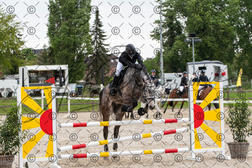 KPT_7538 | andre_photographic