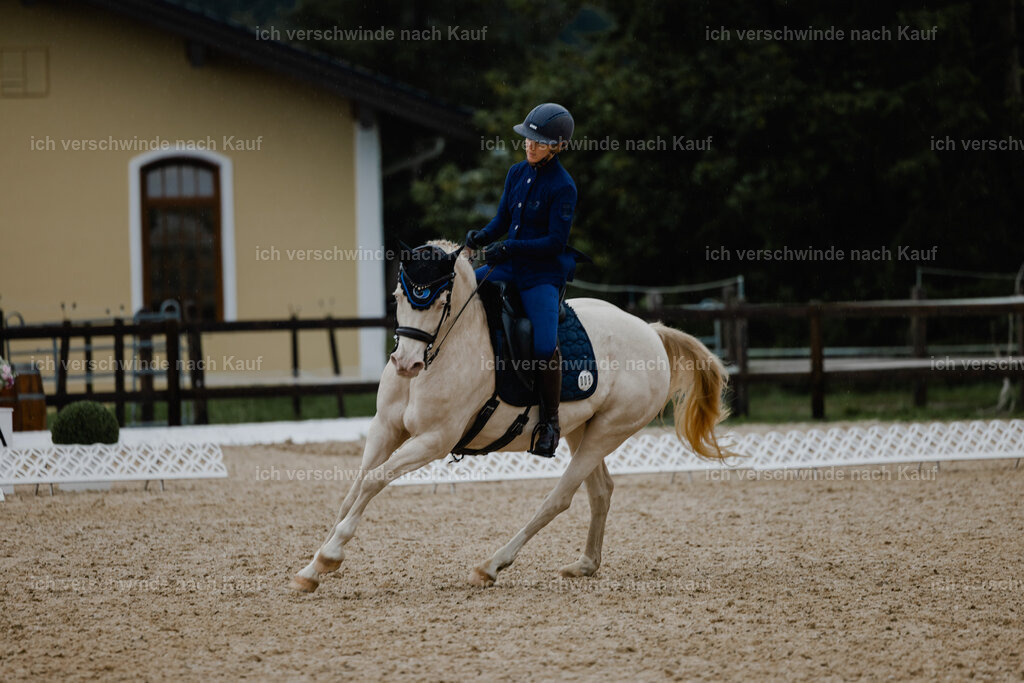 Nici11_FHC2025-25134 | working equitationturnier fotograf videograf stoibphotography marixx film working equitation deutschland reitsport turnierfotografie eventfotografie equestrian events
