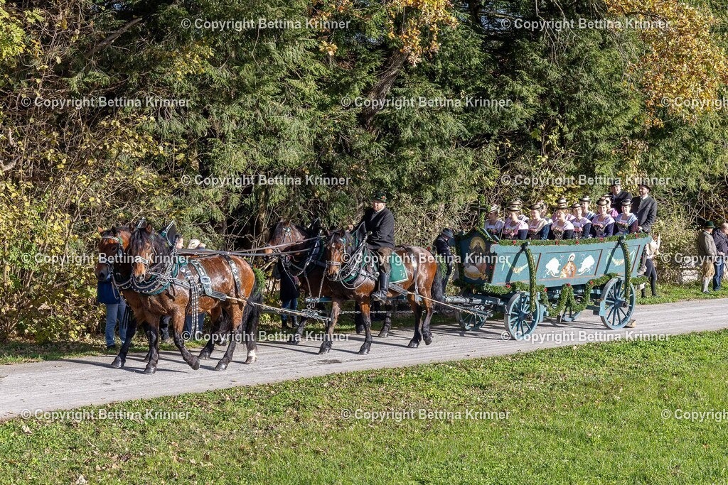 LBT24-378 | foto-bettina-krinner - Realisiert mit Pictrs.com