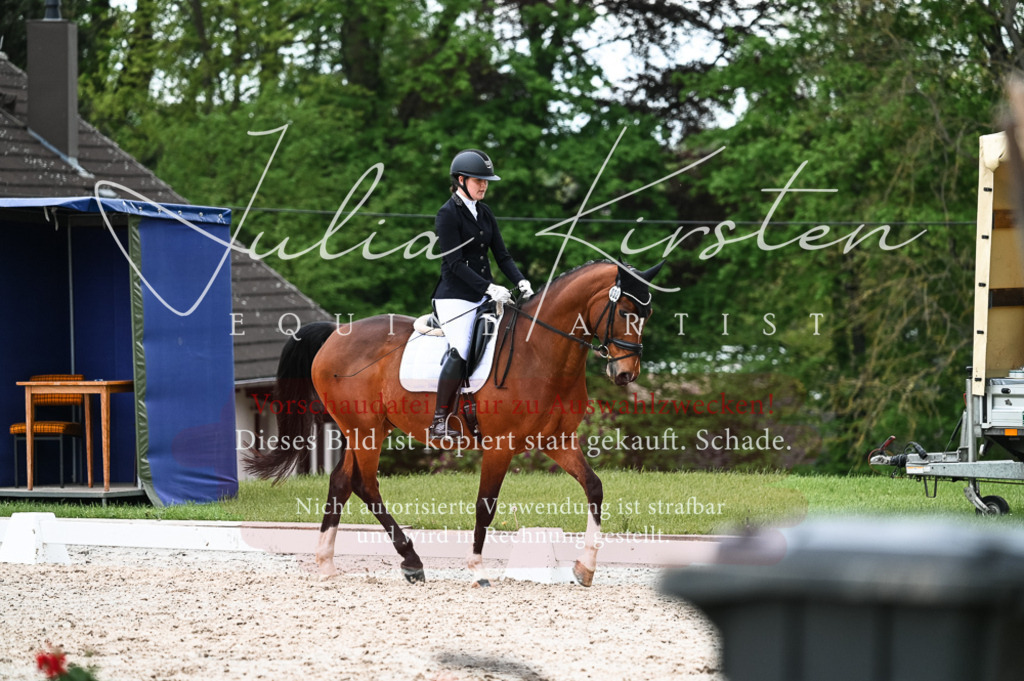 20230513_JK-Röhrsdorf-11-040 | Pferde- und Turnierfotografie in Westsachsen. Pferdeportraits, Auftragszeichnungen und intuitive Kunst.