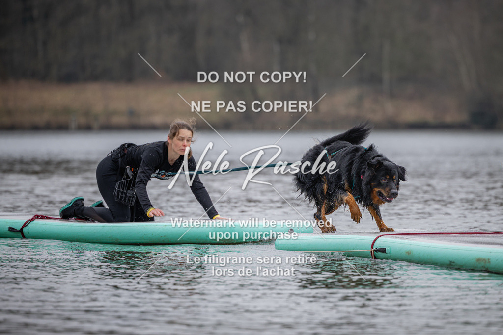 nelerasche_Hulsbeek_Sa1430-1515_158 | nelerasche