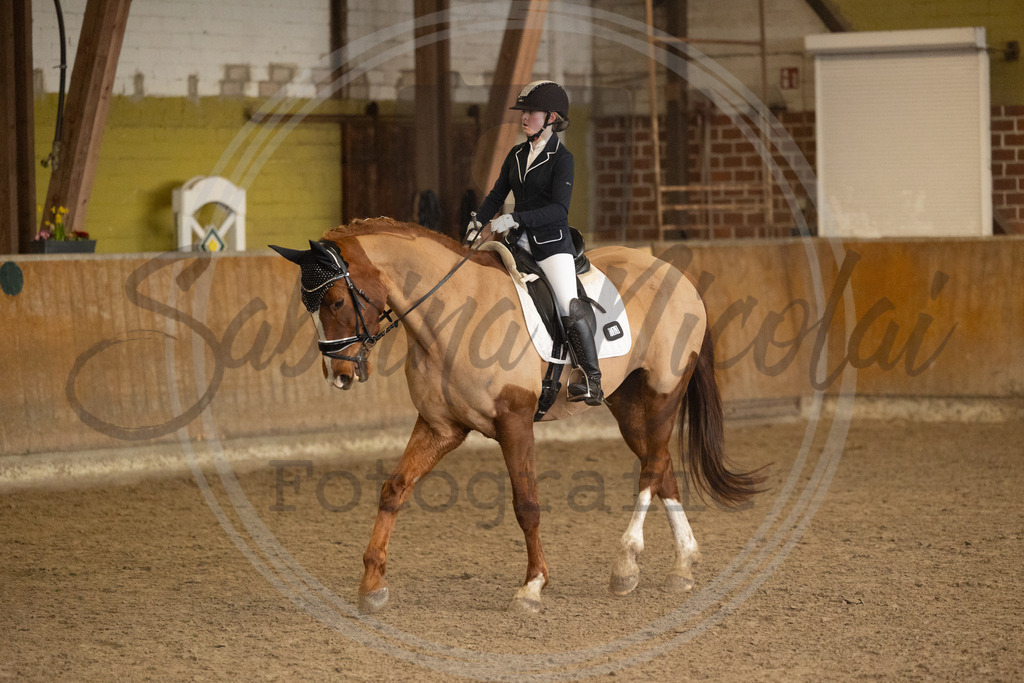 994A8908 | sabrinanicolaifotografie - Realisiert mit Pictrs.com