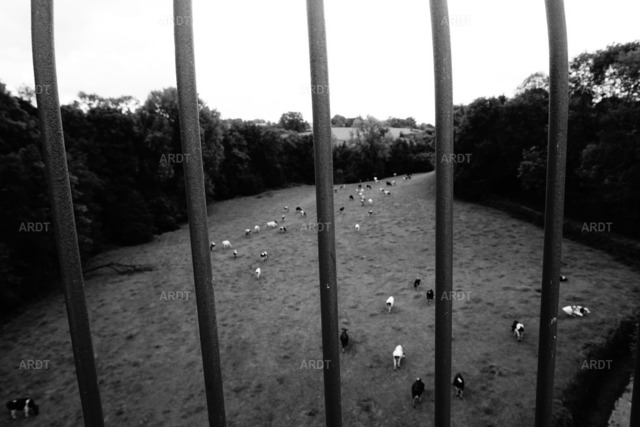 Landschaft und Natur ohne Farbe 19 | ARDT Foto Kunst