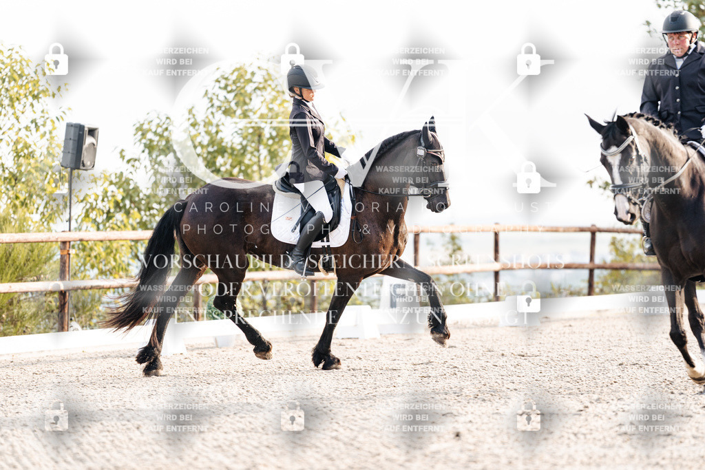 CK900281 | Turnierfotografie Pferdefotografie Trier Rheinland-Pfalz Pferdesport Reitsport Tierfotografie Sportfotografie Pferdevideo Pferdevideografie Equestrianvideography equestrianphotography  - Realisiert mit Pictrs.com