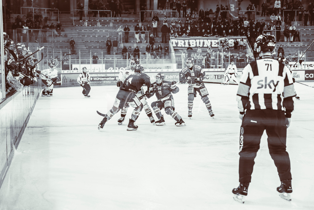 EHCB vs GCK _1-750810624 | Sportbilder, Sportfotograf, Hochzeits- und Eventfotografin, Flugshows, Portraits und Tiershooting, Aviation, Downhill, Nationalleague, Swissleague, International