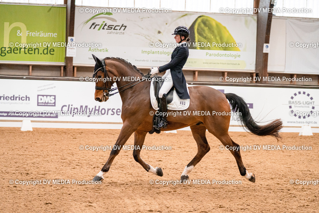 Kranichstein Tag 1-589 | dv-media-shop - Realisiert mit Pictrs.com