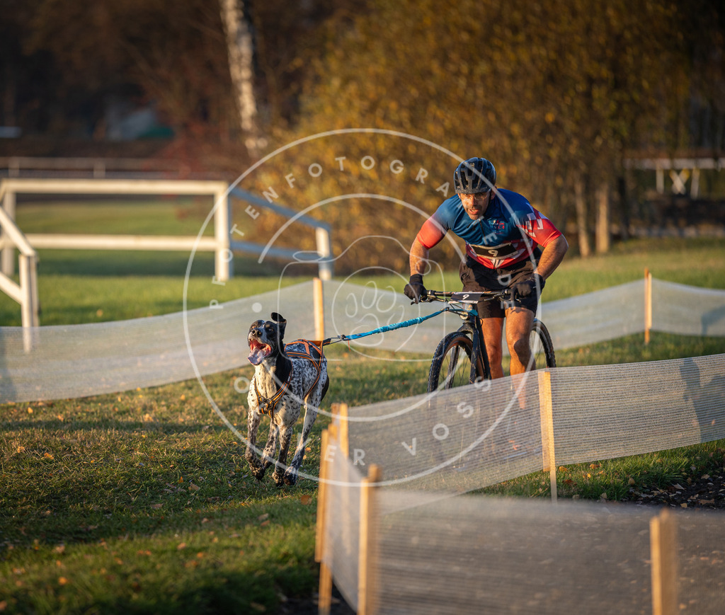 CaniXpix_DV3A9384 | Hundefotografie, Tierfotograf, Pfotenfotografie, Fotoshooting Hund, Hunde Portrait, Hundesport, Hundeportraits, Heideshooting, Hunde, Sportfotograf, Hundefotograf, Turnierhundsport, THS,  - Realisiert mit Pictrs.com