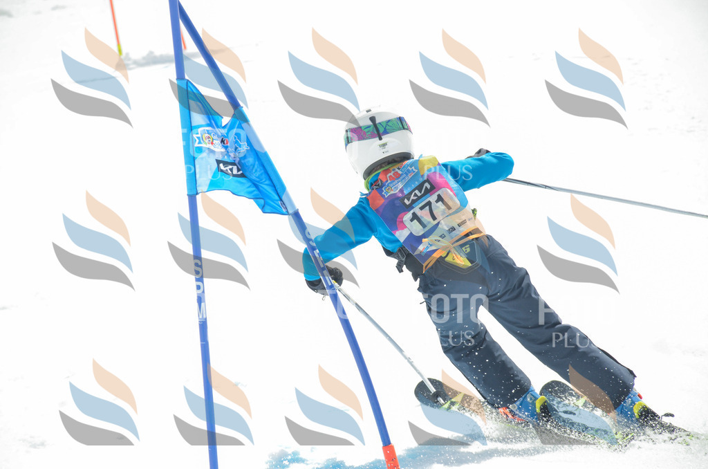 _ELE6560 | holidayphoto