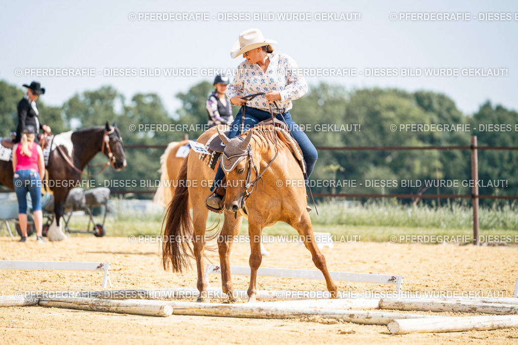 DSC09859 | Pferdegrafie