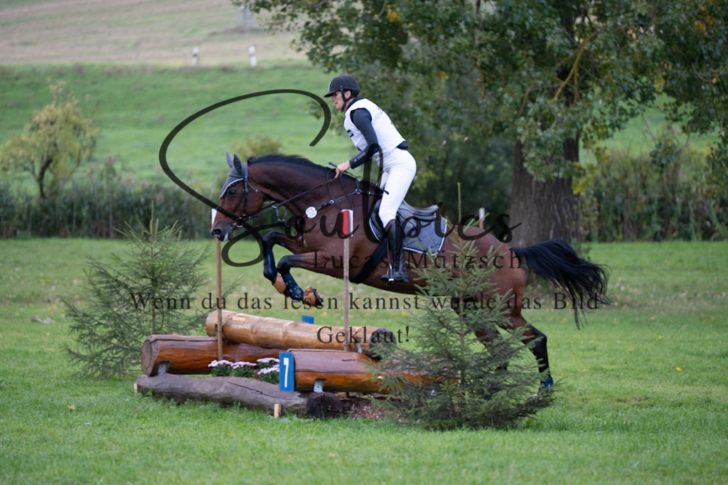 A7V02949 | Pferdefotograf