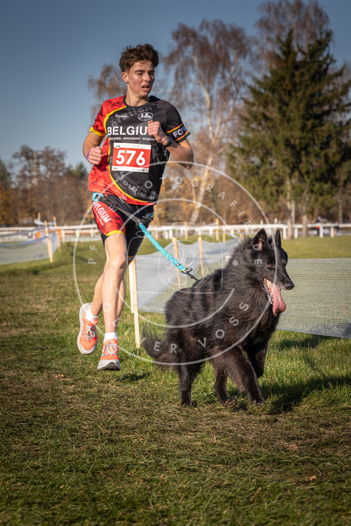 CaniXpix_0L8A8147 | Hundefotografie, Tierfotograf, Pfotenfotografie, Fotoshooting Hund, Hunde Portrait, Hundesport, Hundeportraits, Heideshooting, Hunde, Sportfotograf, Hundefotograf, Turnierhundsport, THS,  - Realisiert mit Pictrs.com