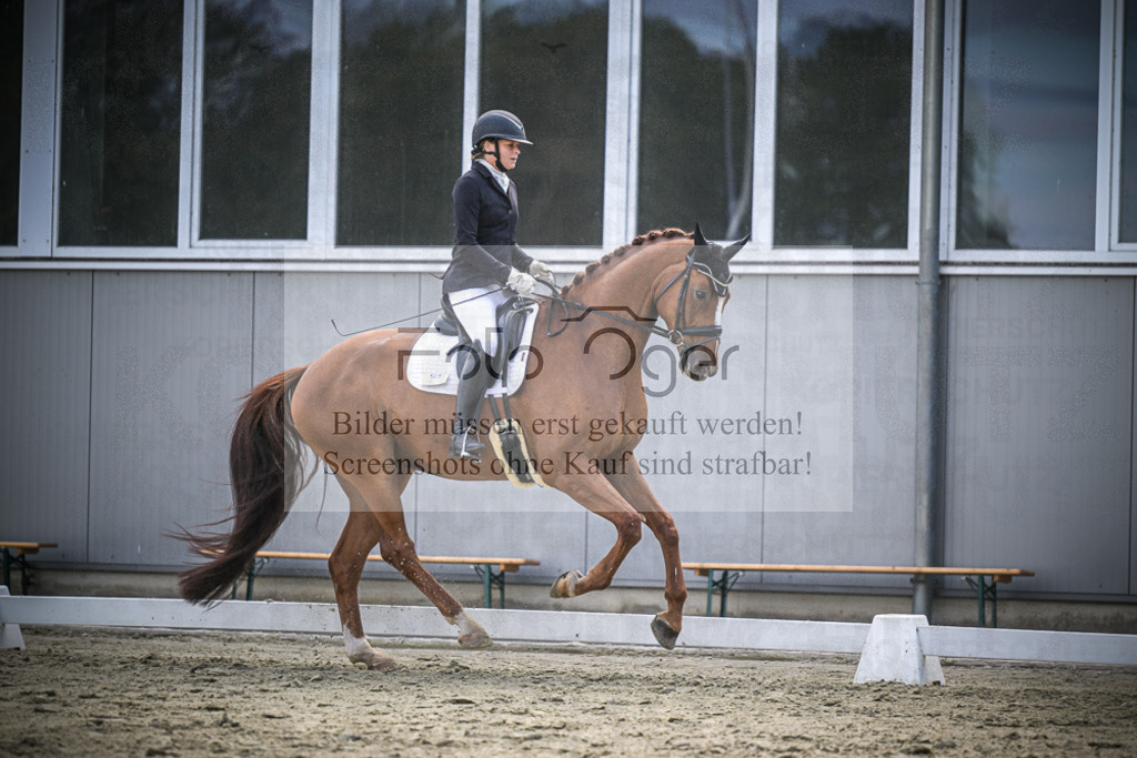 DOS_1050 | Entdecke hochwertige Reitturnierfotos von Foto Oger. Professionell, emotional und authentisch – jetzt Lieblingsmomente im Shop bestellen.Deutschlandweite Turnierfotografie. - Realisiert mit Pictrs.com