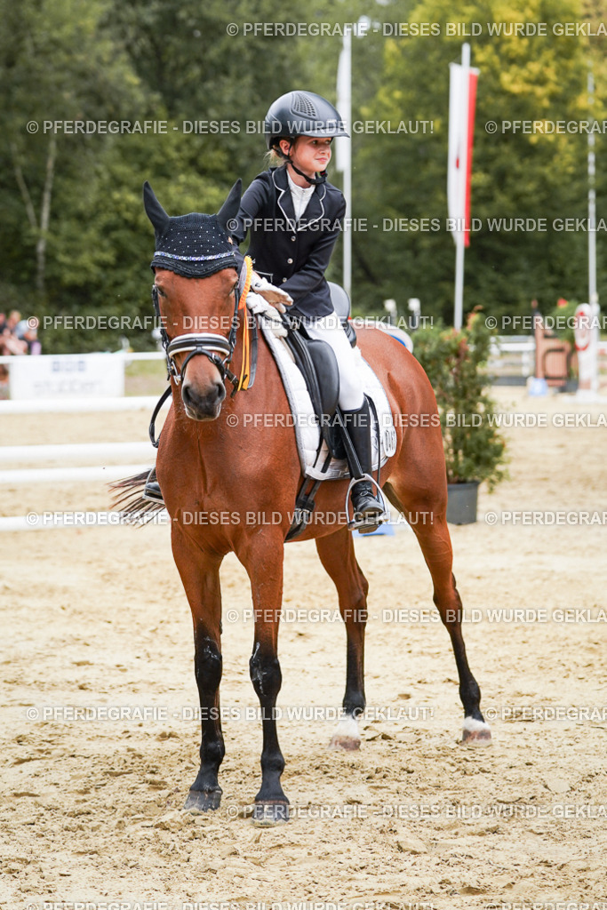 DSC06087 | Pferdegrafie