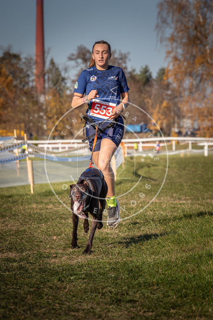 CaniXpix_0L8A7690 | Hundefotografie, Tierfotograf, Pfotenfotografie, Fotoshooting Hund, Hunde Portrait, Hundesport, Hundeportraits, Heideshooting, Hunde, Sportfotograf, Hundefotograf, Turnierhundsport, THS,  - Realisiert mit Pictrs.com