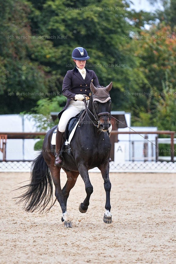 07-191-DRESSUR  S___  -Marixx-5125 | working equitationturnier fotograf videograf stoibphotography marixx film working equitation deutschland reitsport turnierfotografie eventfotografie equestrian events