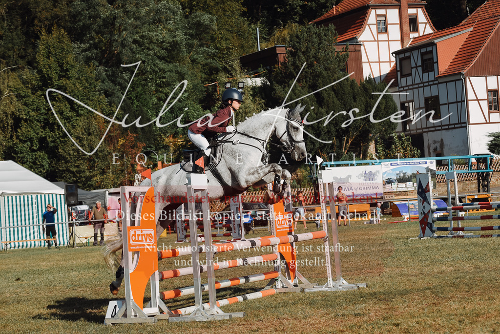 DSC_5251 | Pferde- und Turnierfotografie in Westsachsen. Pferdeportraits, Auftragszeichnungen und intuitive Kunst.