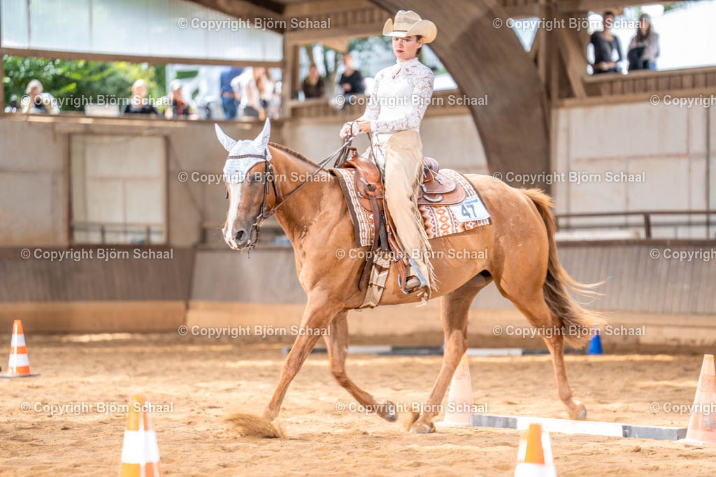 LMS02359 | BS-foto