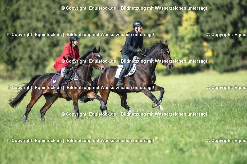 20251011_Jagd-Marbach_0208 | Foto: Thomas Hartig