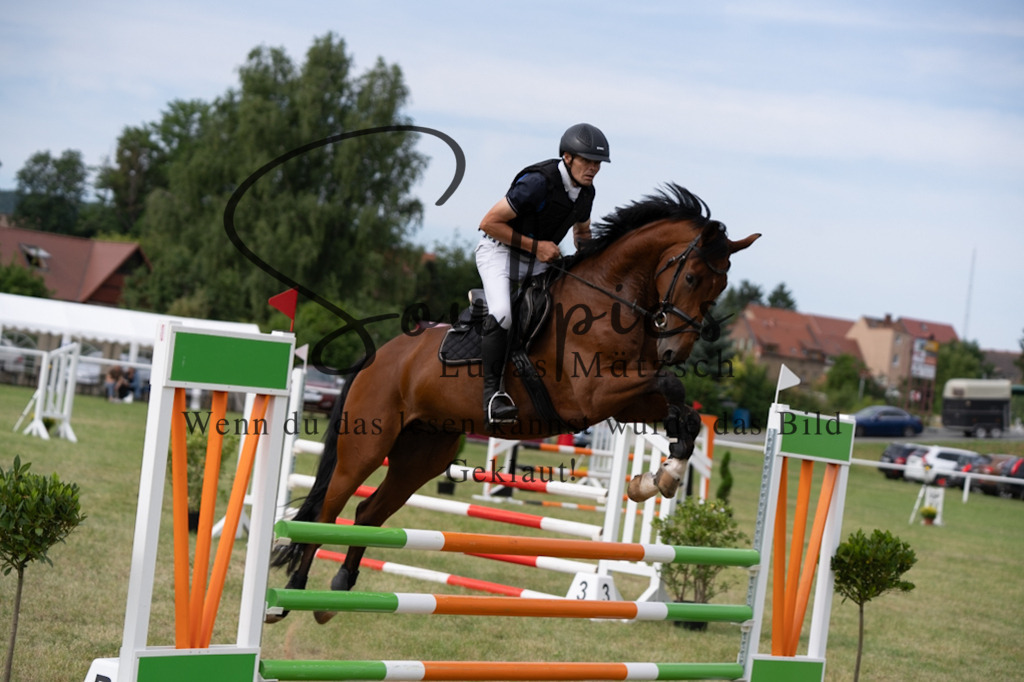 A7V01401 | Pferdefotograf