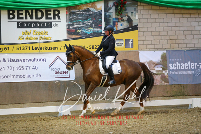IMG_2964 | Turnierfotos kaufen im Webshop von Daniel Kuhl Photography – entdecke professionelle Reitsportfotos aus Turnieren & Events. Hochwertige Turnierbilder online bestellen & sichern. Jetzt Fotos von Reitsportturnieren kaufen!
