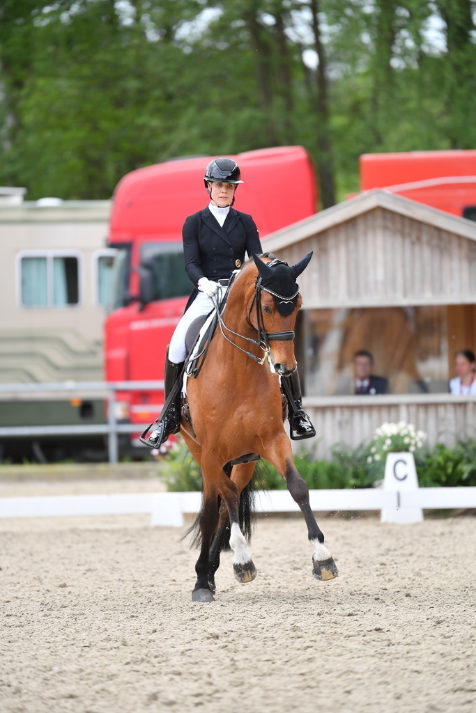 Brunkhorst_16_329 | Der professionelle Turnierfotograf ✓ Reitsport Bilder ▷ Shop ✚ günstig & schnell ✚ mit Zugang für Redakteure