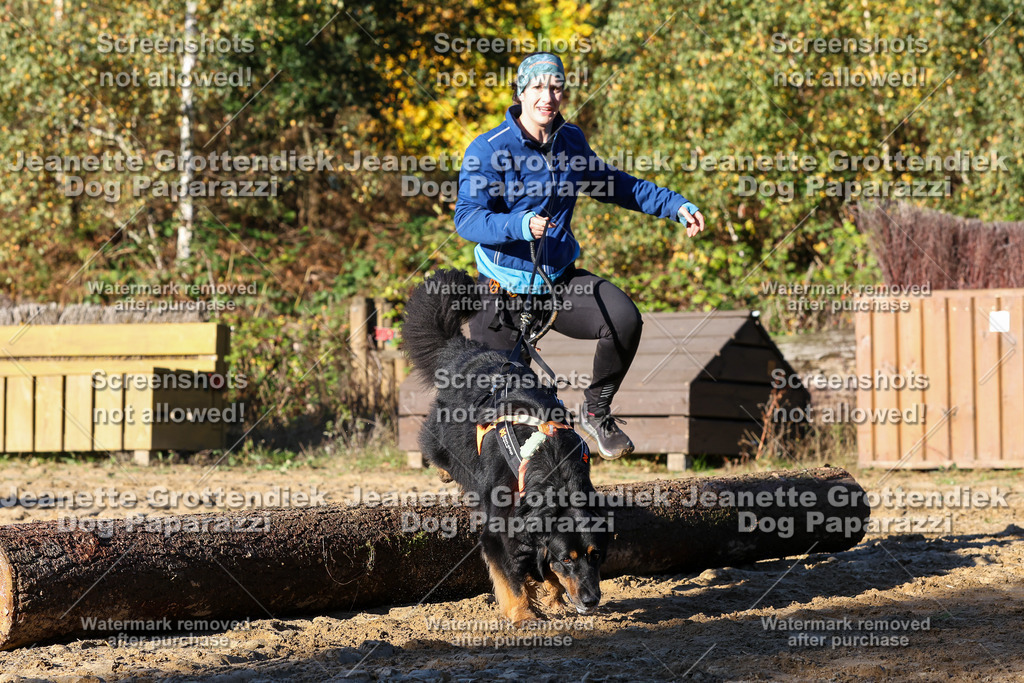 Dog Paparazzi - Strongdog 10-25-1378 | Dog Paparazzi Jeanette Grottendiek Fotografie & Videografie - Realisiert mit Pictrs.com