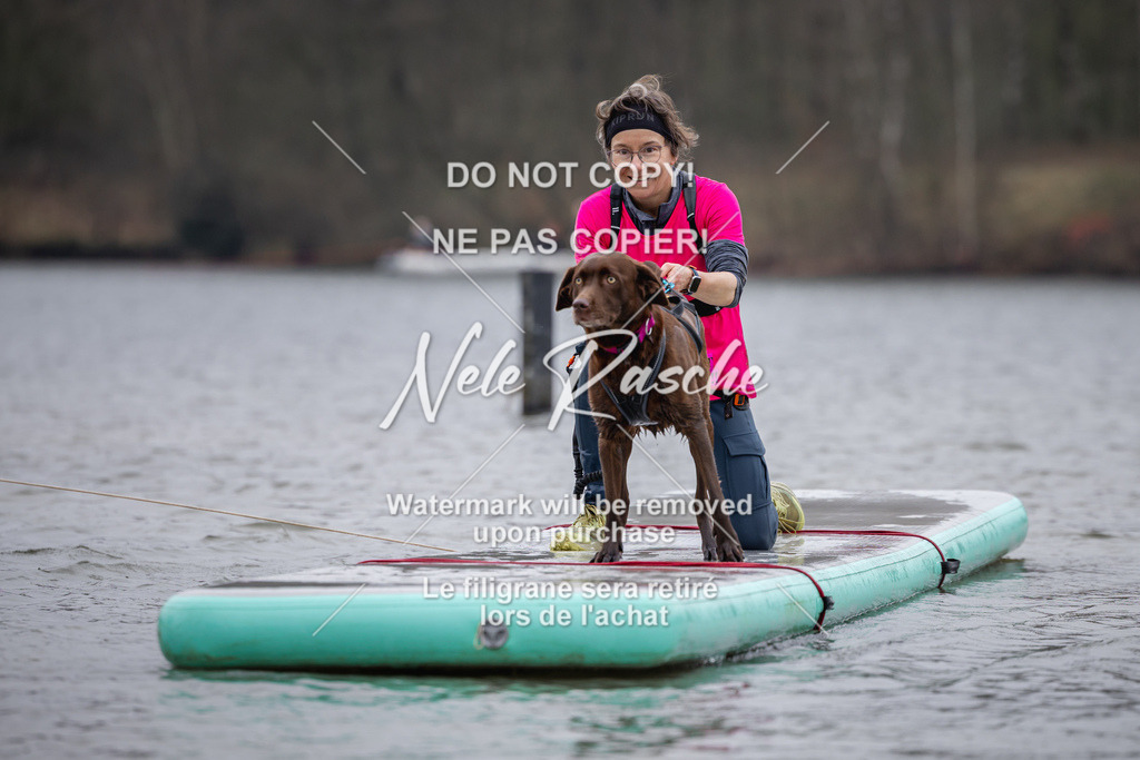 nelerasche_Hulsbeek_Sa1515-1600_55 | nelerasche