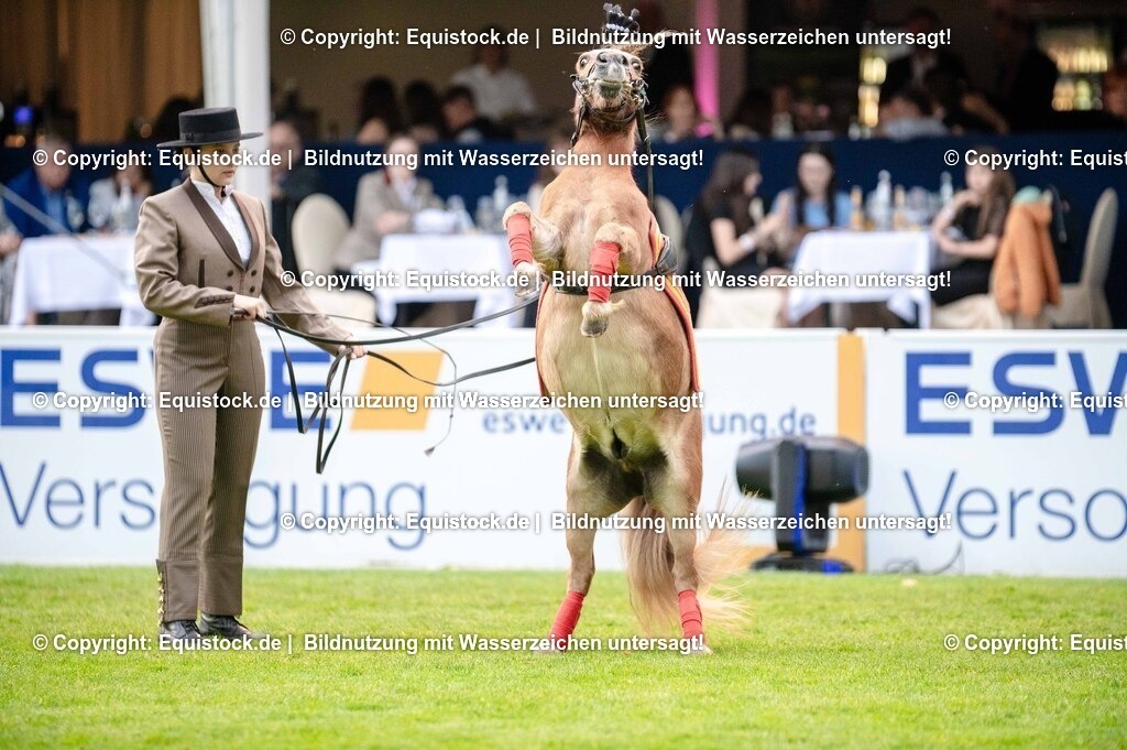 20250606_Lange-Pferdenacht_0645 | Foto: Thomas Hartig