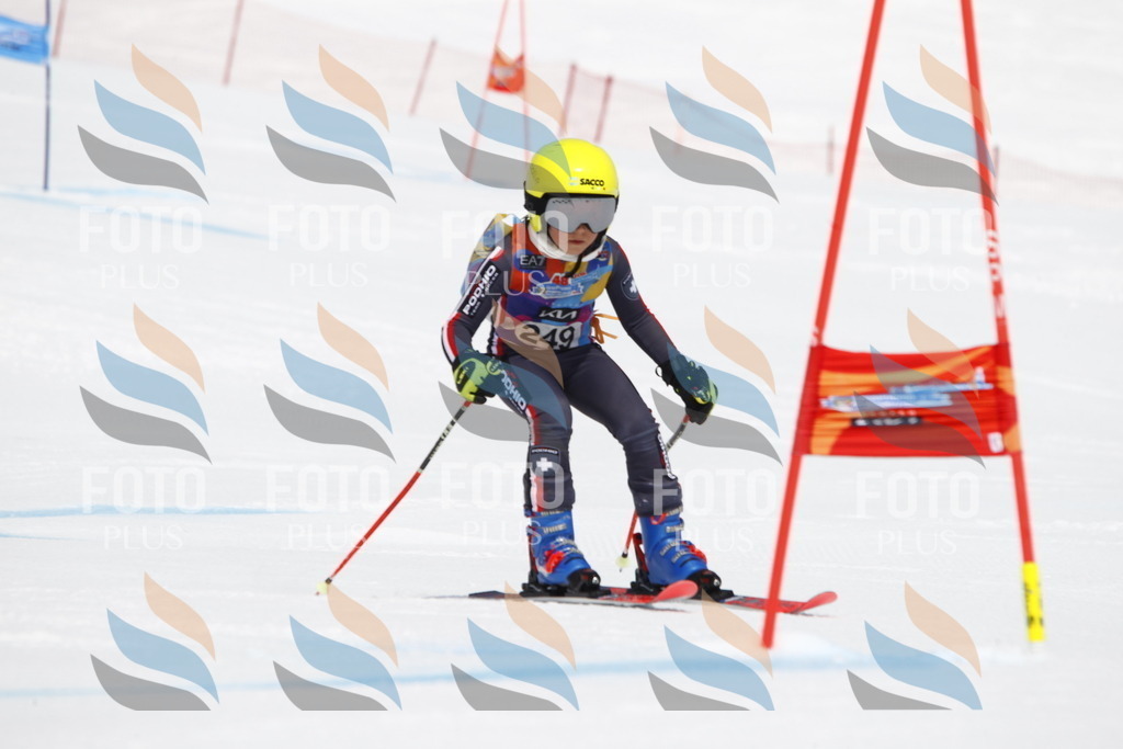 _U3G6295 | holidayphoto