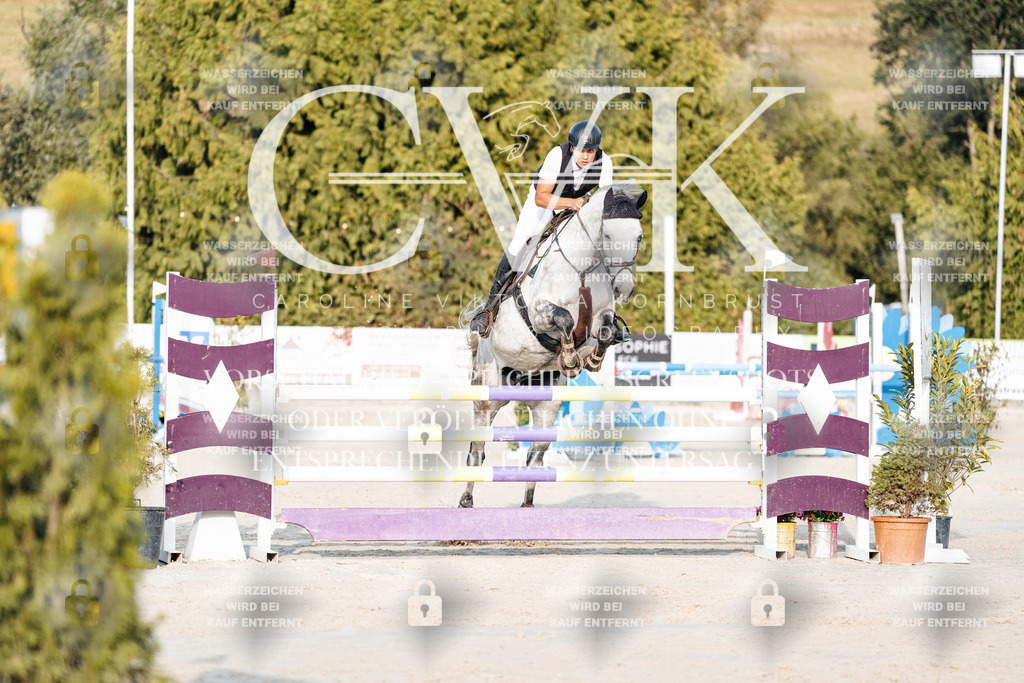 CK900613 | Turnierfotografie Pferdefotografie Trier Rheinland-Pfalz Pferdesport Reitsport Tierfotografie Sportfotografie Pferdevideo Pferdevideografie Equestrianvideography equestrianphotography  - Realisiert mit Pictrs.com