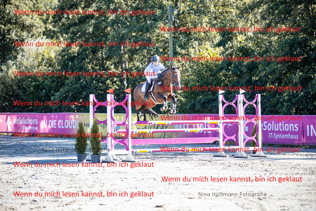 BK1A5842 | Turnierbilder Turnierfotos Nina Hüffmann Turnierfotografie Pferdefotografie Tierzeichnung Haustierzeichnung Pferdezeichnung Hundezeichnung Videograf  - Realisiert mit Pictrs.com