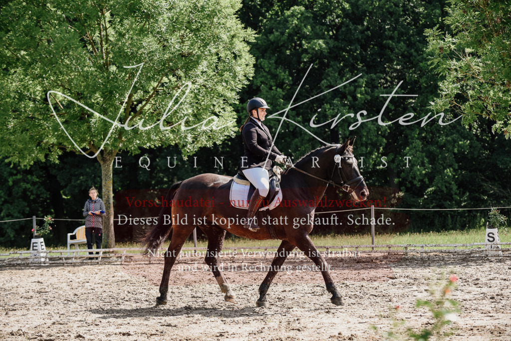 DSC_0187 | Pferde- und Turnierfotografie in Westsachsen. Pferdeportraits, Auftragszeichnungen und intuitive Kunst.