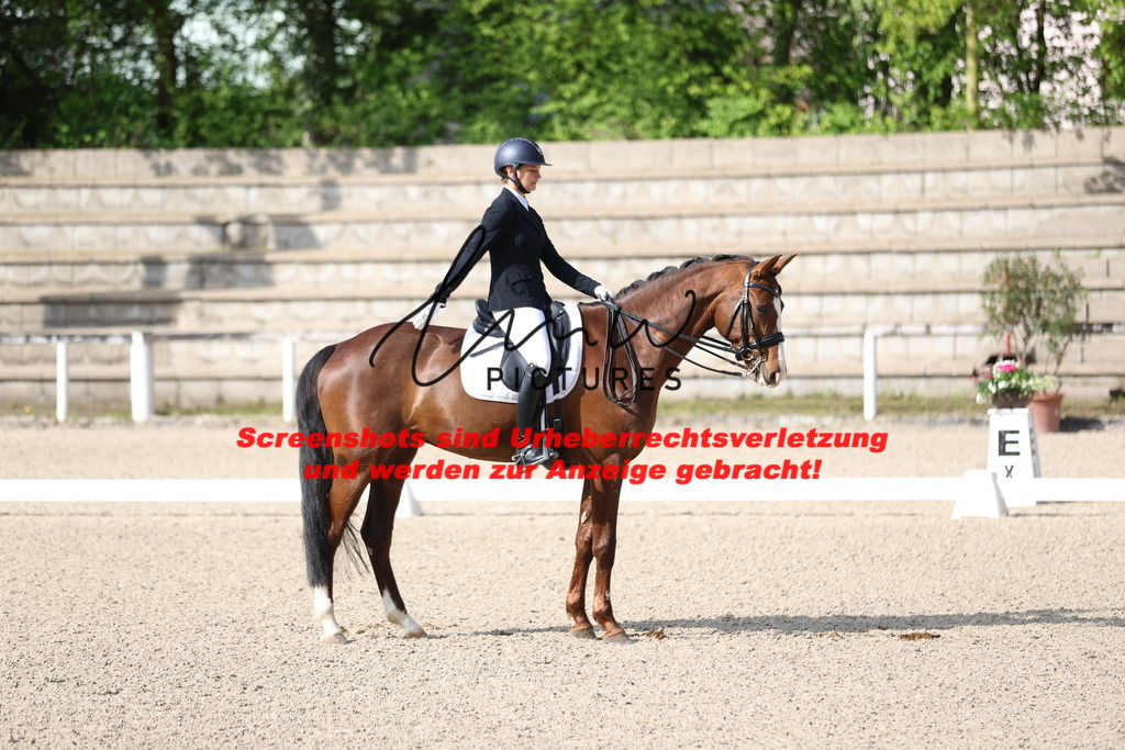 A40A3524 | lmwpictures - Realisiert mit Pictrs.com