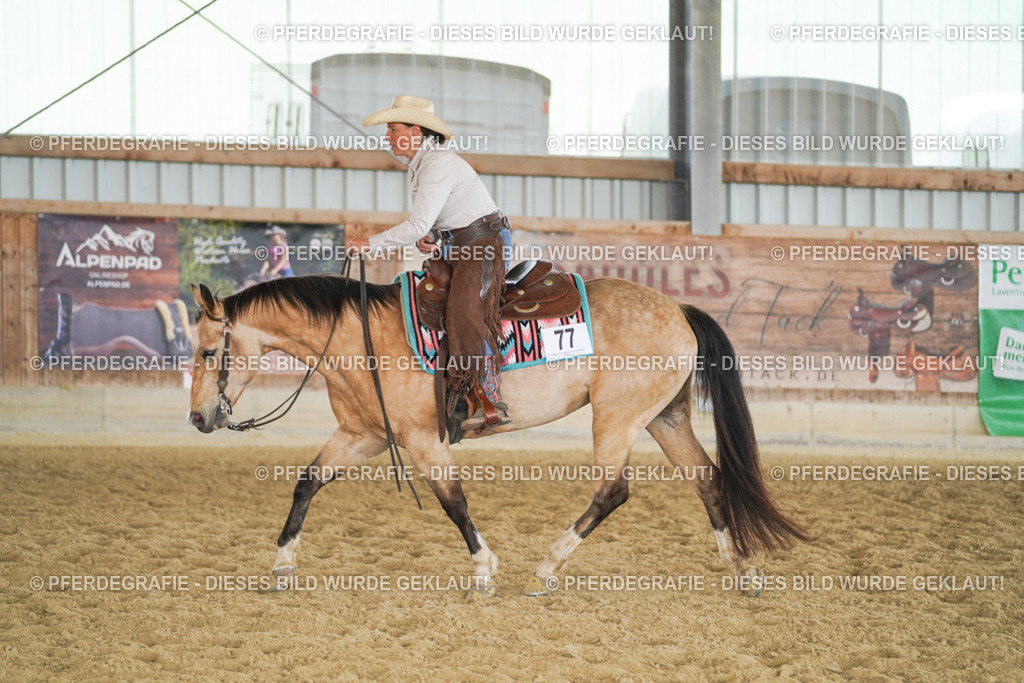 DSC01883 | Pferdegrafie