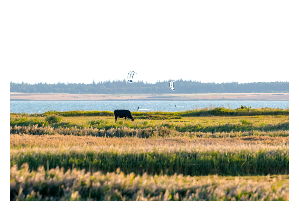 Motiv 88 | Eilun-Art-Fotografie Levke Martens, ihre Fotografin für Immobilien- und Landschaftsfotografie auf Föhr, Föhrer Motive als Poster, Leinwand, hinter Acrylglas oder stelle dir deinen eigenen Monatskalender zusammen, mit nur einem Klick