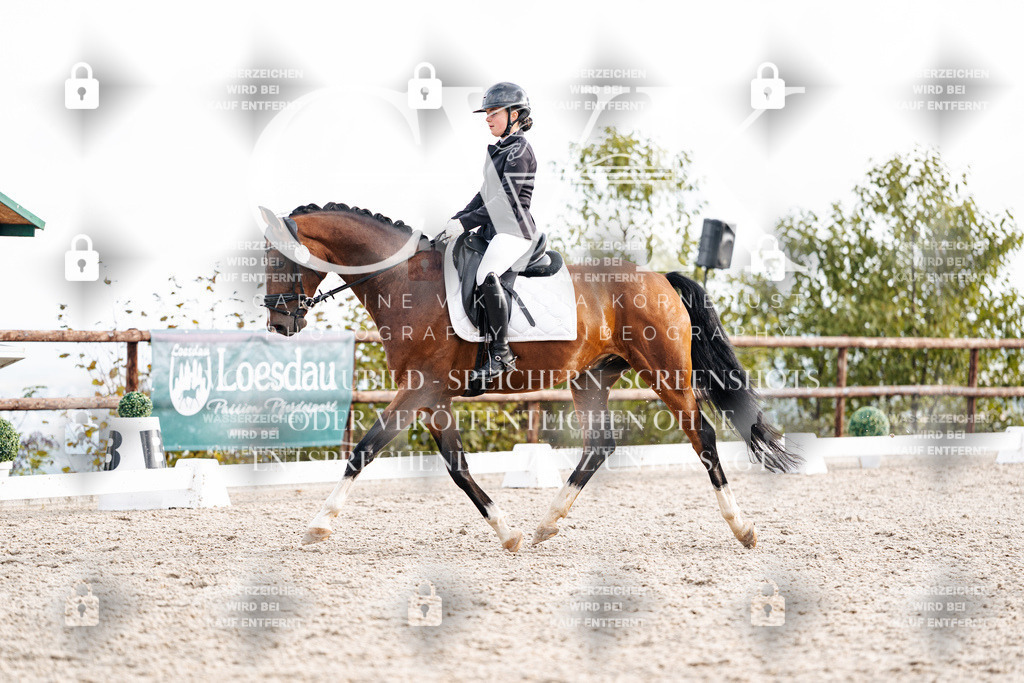 CK900944 | Turnierfotografie Pferdefotografie Trier Rheinland-Pfalz Pferdesport Reitsport Tierfotografie Sportfotografie Pferdevideo Pferdevideografie Equestrianvideography equestrianphotography  - Realisiert mit Pictrs.com