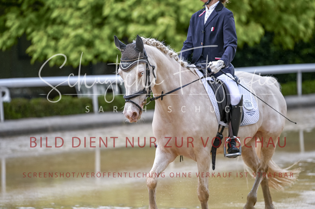 Schugtsche-Aluta25-54.Dressurprf.L1Trense-116 | Schugtsche Fotografie - Realizzato con Pictrs.com