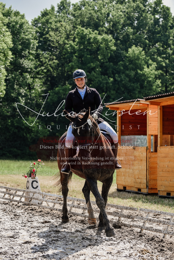 DSC_0171 | Pferde- und Turnierfotografie in Westsachsen. Pferdeportraits, Auftragszeichnungen und intuitive Kunst.