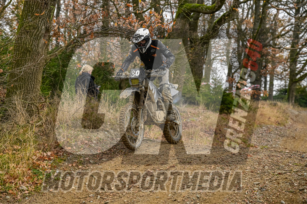 NZ8_4095 | grenznic640