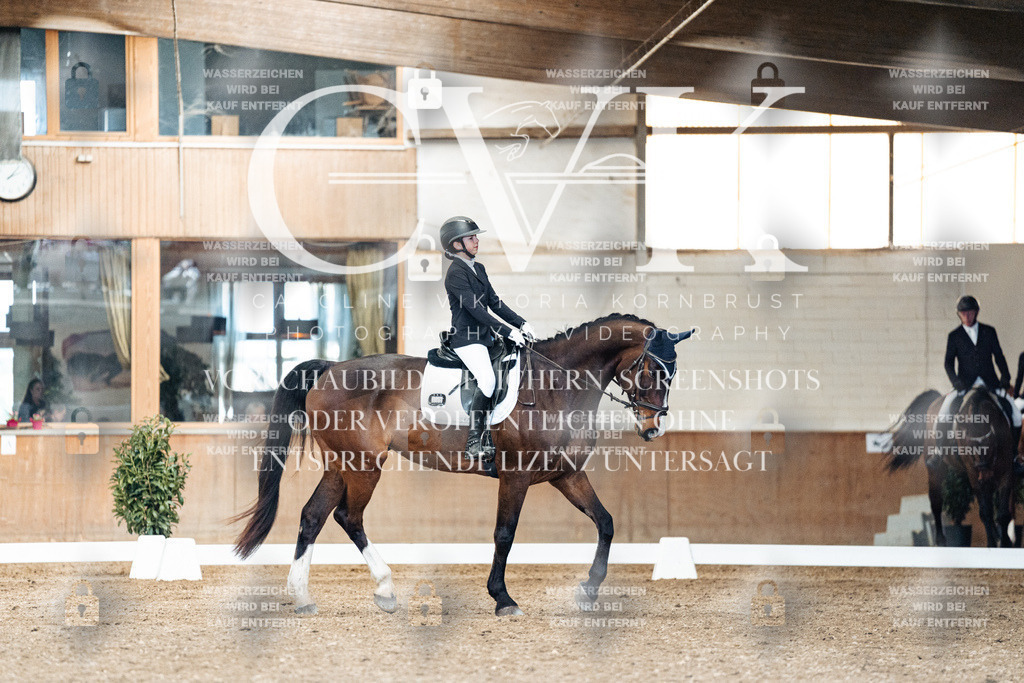 CK901224 | Turnierfotografie Pferdefotografie Trier Rheinland-Pfalz Pferdesport Reitsport Tierfotografie Sportfotografie Pferdevideo Pferdevideografie Equestrianvideography equestrianphotography  - Realized with Pictrs.com