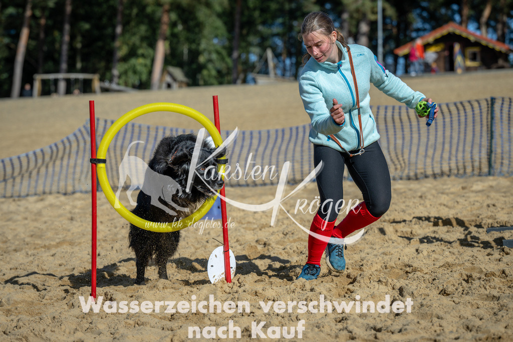 1131_ZZ91405 | kk-dogfotos