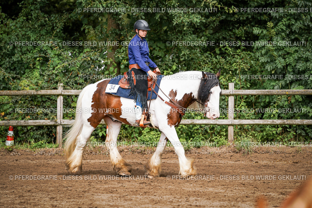 DSC09187 | Pferdegrafie