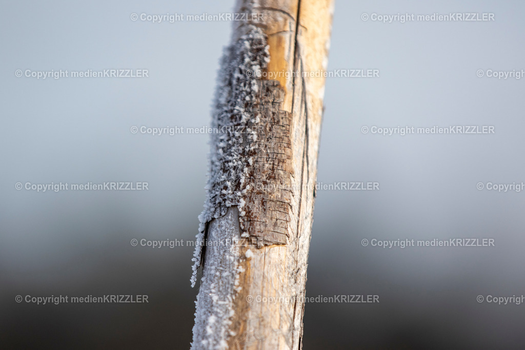 _07A2405 | medienkrizzler - Realisiert mit Pictrs.com