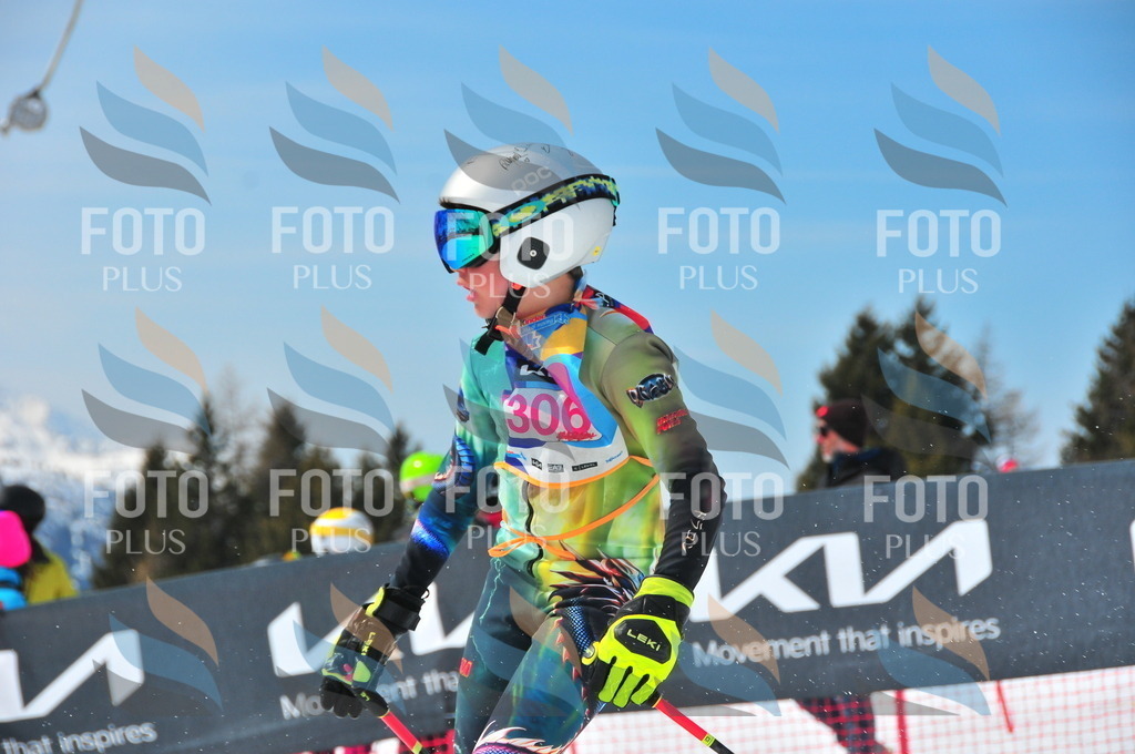 DSC_6594 | holidayphoto