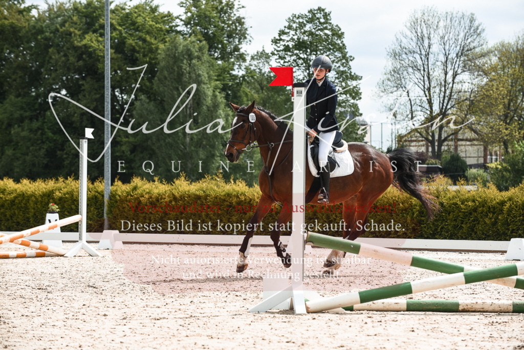 20230518_JK-Röhrsdorf-10-066 | Pferde- und Turnierfotografie in Westsachsen. Pferdeportraits, Auftragszeichnungen und intuitive Kunst.